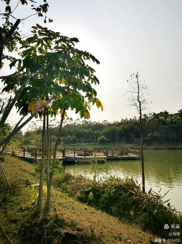 台山市金星湖湿地公园